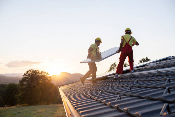 Best Roof Moss and Algae Removal  in Crab Orchard, WV